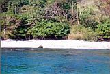 Manzanillo