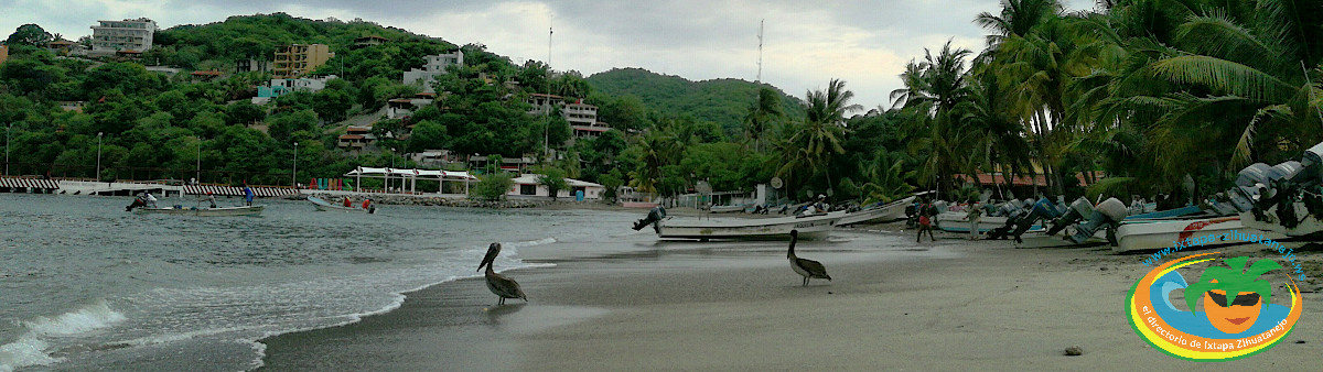Playa Principal Zihuatanejo